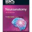 BRS Neuroanatomy 6th Edition