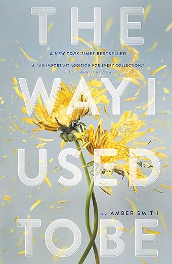 The Way I Used to Be By Amber Smith