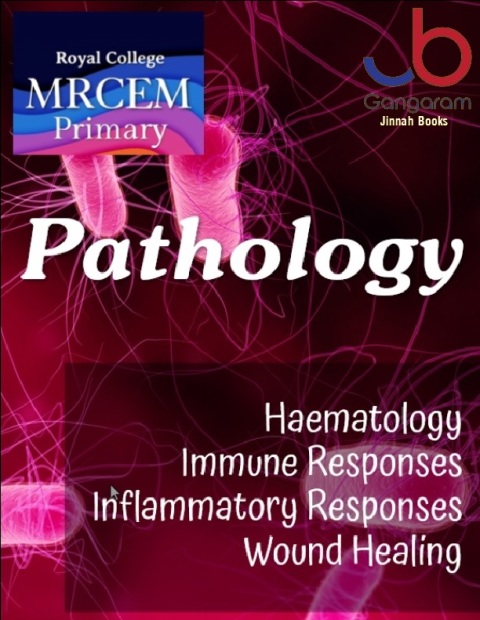 Haematology Immune Responses Inflammatory Responses Wound Healing